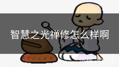智慧之光禅修怎么样啊
