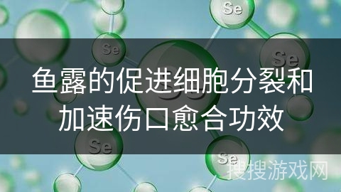 鱼露的促进细胞分裂和加速伤口愈合功效