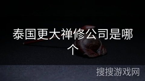 泰国更大禅修公司是哪个