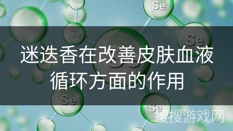 迷迭香在改善皮肤血液循环方面的作用