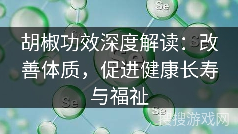胡椒功效深度解读：改善体质，促进健康长寿与福祉