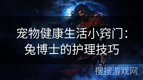 宠物健康生活小窍门：兔博士的护理技巧