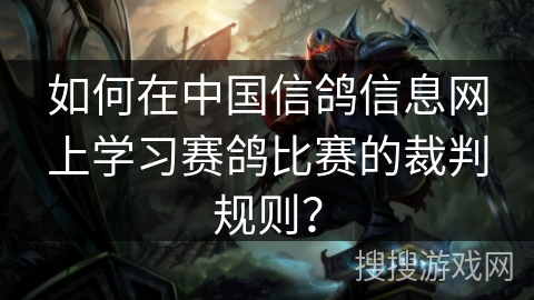 如何在中国信鸽信息网上学习赛鸽比赛的裁判规则？