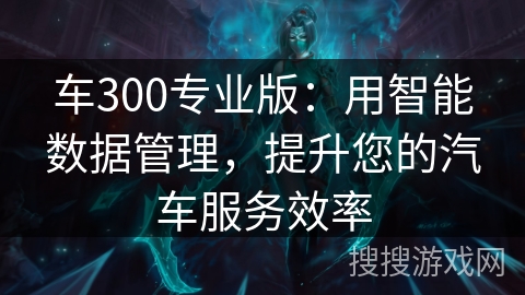 车300专业版:用智能数据管理,提升您的汽车服务效率 车300专业版:用智能数据管理,提升您的汽车服务效率