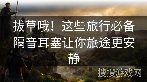 拔草哦!这些旅行必备隔音耳塞让你旅途更安静 拔草哦!这些旅行必备隔音耳塞让你旅途更安静