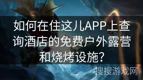 如何在住这儿APP上查询酒店的免费户外露营和烧烤设施？