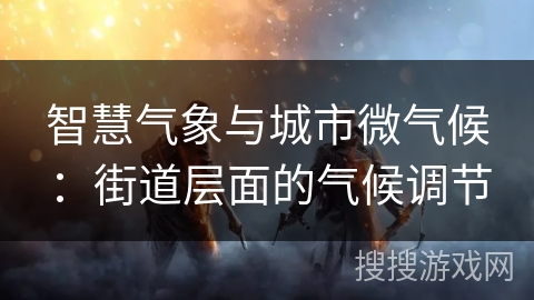 智慧气象与城市微气候：街道层面的气候调节