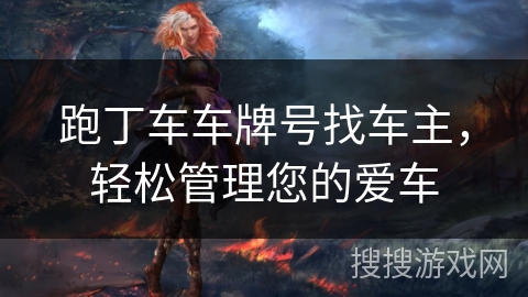 跑丁车车牌号找车主，轻松管理您的爱车