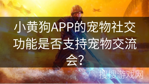 小黄狗APP的宠物社交功能是否支持宠物交流会？