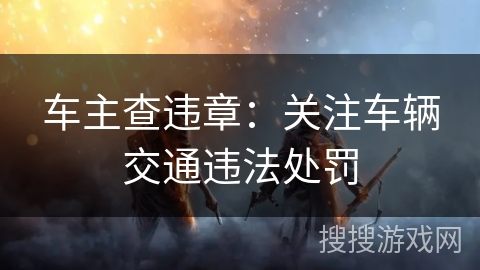 车主查违章:关注车辆交通违法处罚 车主查违章:关注车辆交通违法处罚