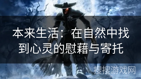 本来生活：在自然中找到心灵的慰藉与寄托