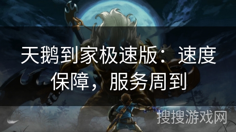 天鹅到家极速版:速度保障,服务周到 天鹅到家极速版:速度保障,服务周到