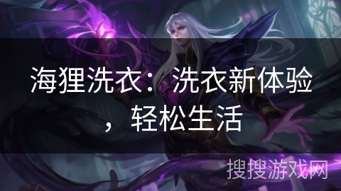 海狸洗衣：洗衣新体验，轻松生活
