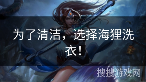 为了清洁，选择海狸洗衣！