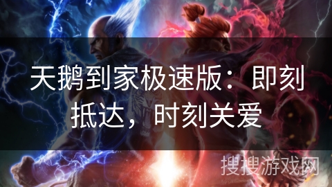 天鹅到家极速版:即刻抵达,时刻关爱 天鹅到家极速版:即刻抵达,时刻关爱