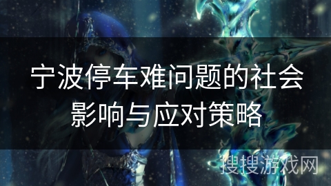 宁波停车难问题的社会影响与应对策略 宁波停车难问题的社会影响与应对策略