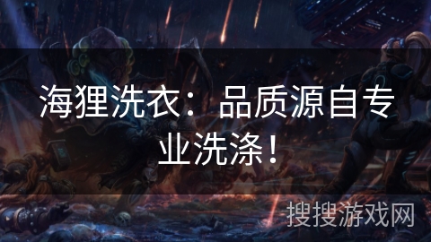 海狸洗衣：品质源自专业洗涤！