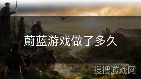 蔚蓝游戏做了多久