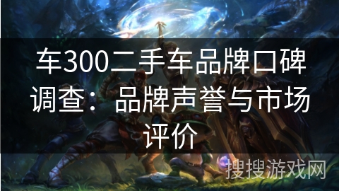 车300二手车品牌口碑调查：品牌声誉与市场评价