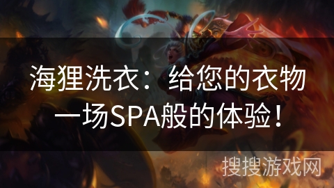 海狸洗衣：给您的衣物一场SPA般的体验！