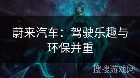 蔚来汽车：驾驶乐趣与环保并重