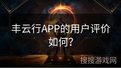 丰云行APP的用户评价如何？