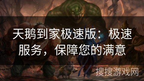 天鹅到家极速版：极速服务，保障您的满意