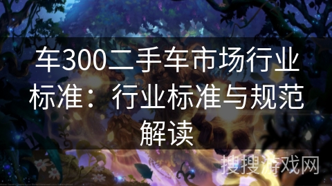 车300二手车市场行业标准:行业标准与规范解读 车300二手车市场行业标准:行业标准与规范解读