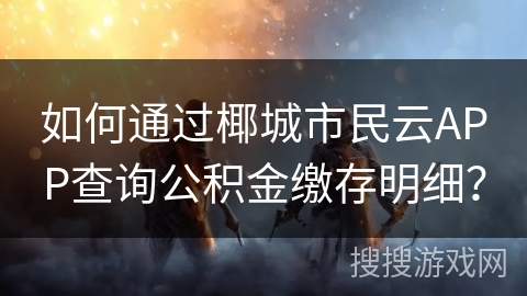 如何通过椰城市民云APP查询公积金缴存明细？