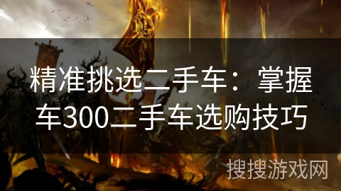 精准挑选二手车：掌握车300二手车选购技巧