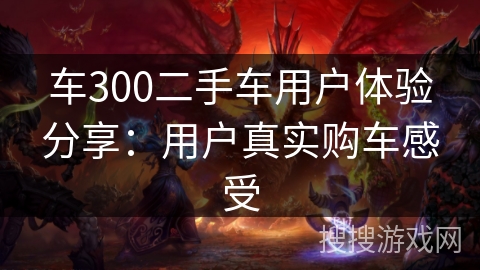 车300二手车用户体验分享：用户真实购车感受