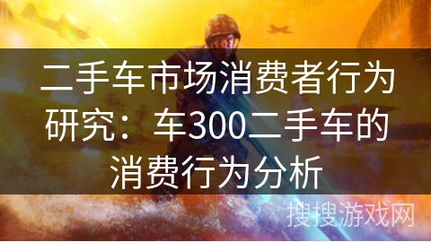 二手车市场消费者行为研究：车300二手车的消费行为分析