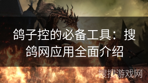 鸽子控的必备工具：搜鸽网应用全面介绍