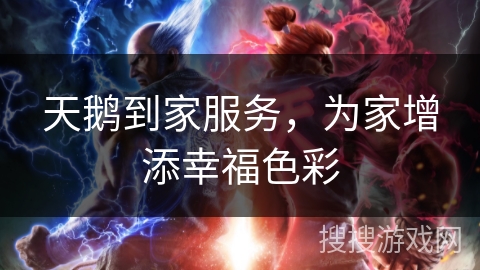 天鹅到家服务，为家增添幸福色彩