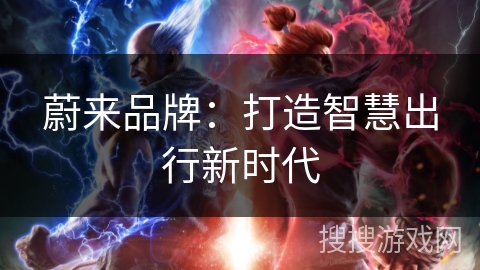 蔚来品牌:打造智慧出行新时代 蔚来品牌:打造智慧出行新时代