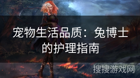 宠物生活品质：兔博士的护理指南