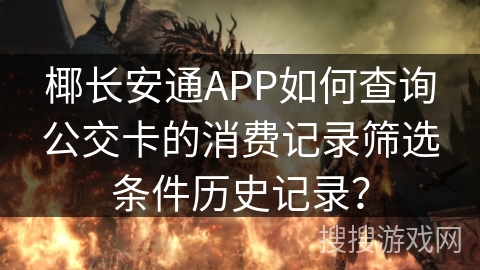 椰长安通APP如何查询公交卡的消费记录筛选条件历史记录? 椰长安通APP如何查询公交卡的消费记录筛选条件历史记录?