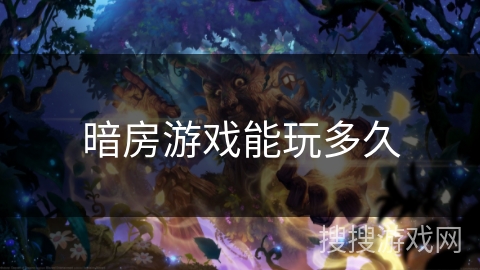 暗房游戏能玩多久