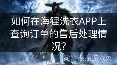 如何在海狸洗衣APP上查询订单的售后处理情况？