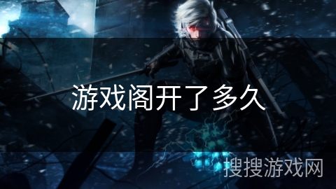 游戏阁开了多久