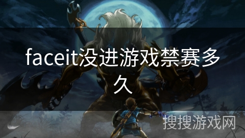 faceit没进游戏禁赛多久