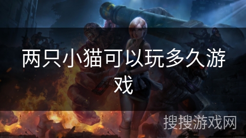 两只小猫可以玩多久游戏