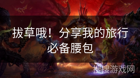 拔草哦！分享我的旅行必备腰包