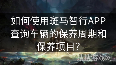 如何使用斑马智行APP查询车辆的保养周期和保养项目？