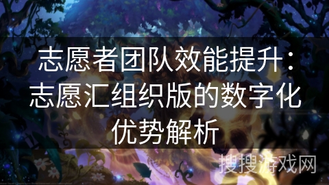 志愿者团队效能提升：志愿汇组织版的数字化优势解析