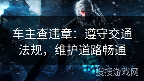 车主查违章：遵守交通法规，维护道路畅通