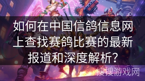 如何在中国信鸽信息网上查找赛鸽比赛的最新报道和深度解析？