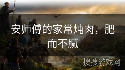安师傅的家常炖肉，肥而不腻