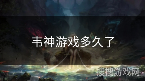 韦神游戏多久了