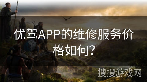 优驾APP的维修服务价格如何？